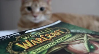 World of Warcraft ચાઇના શટ ડાઉન લાખો ગેમર્સને કાપી નાખે છે