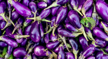 Know the benefits of Rainbow Diet, include these things in your meals from today