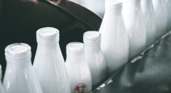 Goat’s milk is stronger than cow’s milk, panacea for 5 diseases