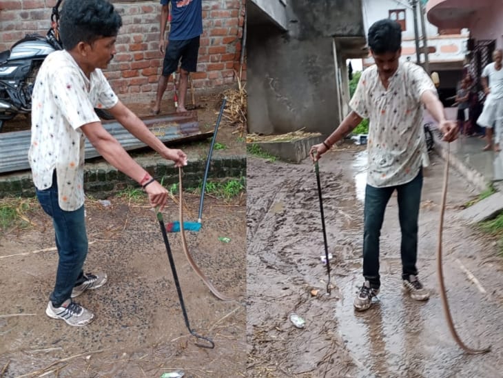 Rakesh Jadav of Wild Life Rescue Trust rescued the cobra snake.