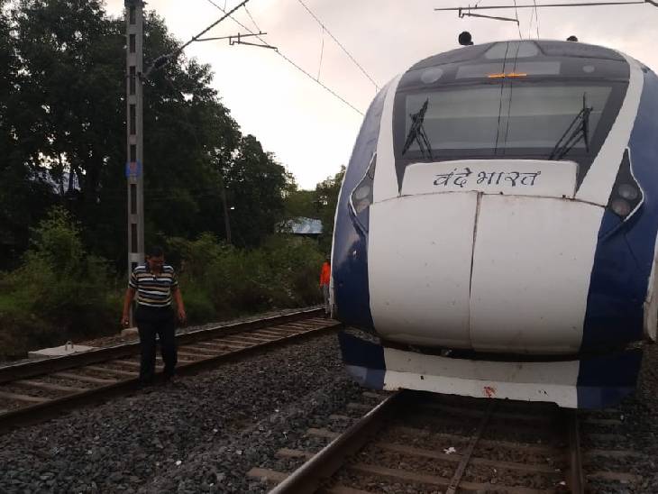A bull collided with a train today near Valsad railway station