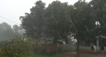 A change in atmosphere after a long time in the Aravalli | મેઘરજના અંતરિયાળ ઇસરી, રેલ્લાવાડા, તરકવાળા, જીતપુરમાં ધોધમાર વરસાદ; ખેતીપાકને જીવતદાન મળ્યું