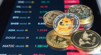 Charting The Dogecoin Trajectory: Potential Gains on the Horizon