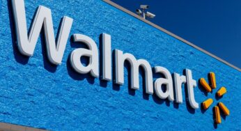“Analyzing Walmart’s Post-Earnings Dip: Growth, Guidance, and Market Dynamics”